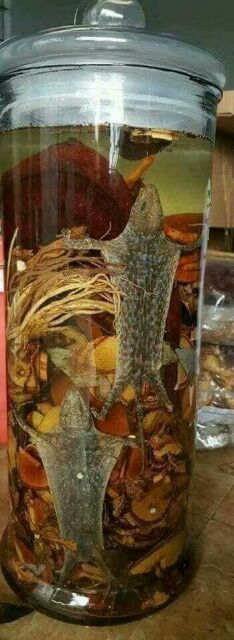 Minh mạng thang (2 tắc kè) dạng túi 2kg thông dụng