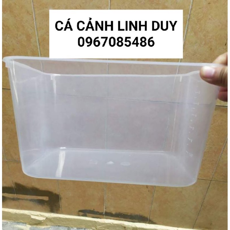 Khay nhựa nuôi cá,trồng rau , dưỡng cá