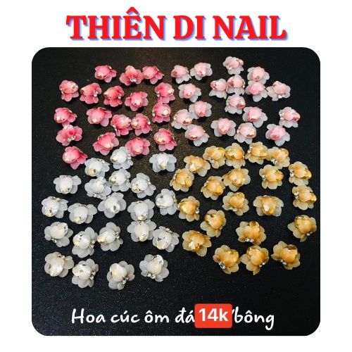 Hoa bột - Hoa cúc đá gắn trang trí móng tay Thiên Di Nail
