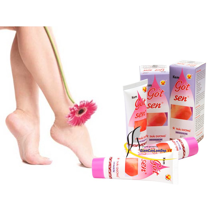 KEM GÓT SEN THÁI DƯƠNG DƯỠNG ẨM NGĂN NỨT NẺ TAY CHÂN - TUÝP 20G (2201055) | BigBuy360 - bigbuy360.vn