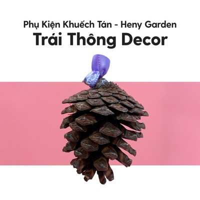 Quả Thông Treo Khuếch Tán Tinh Dầu Làm Thơm Phòng HENY GARDEN