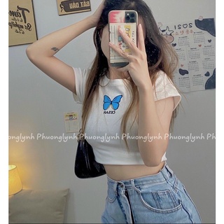 Áo croptop bướm siêu xinh