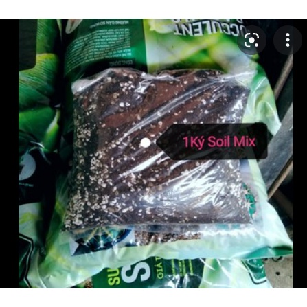 1kg Soil Mix - Giá thể - đất trồng sen đá xương rồng cao cấp, siêu rẻ