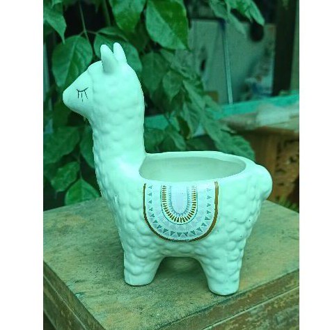 Chậu sứ mini hình chú nay