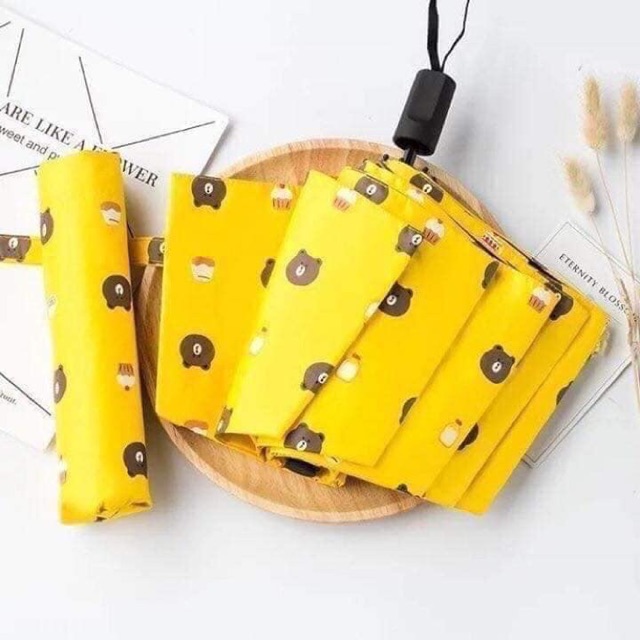 Ô GẤU PHONG CÁCH HÀN QUỐC, cực xinh xắn