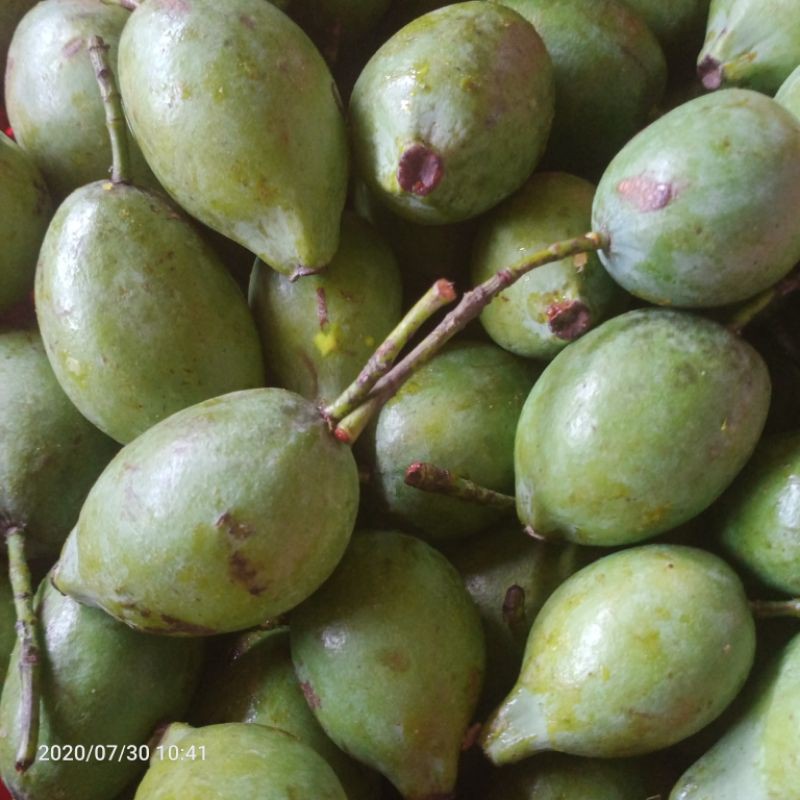 Quả dọc Phú Thọ