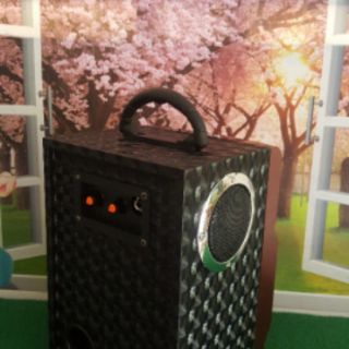 Loa bluetooth NTC RX301/RX302