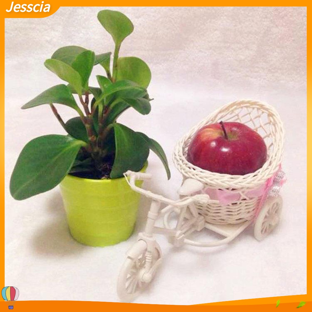 Jessica| Giỏ Hoa Đan Mây Hình Xe Đạp Trang Trí Tiệc Cưới