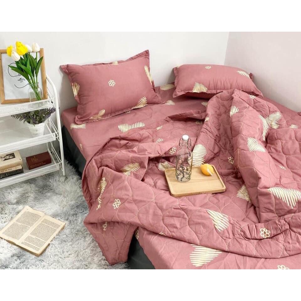 Bộ ga gối 1m2,1m4,1m5,1m6,1m8, 2mx2m2 poly cotton 3 món mẫu doremon