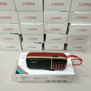 Loa carrie