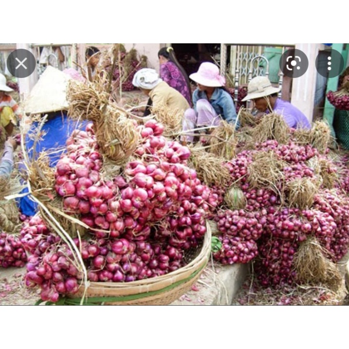 1KG Hành tím xứ Nghệ nhà trồng thơm ngon giá rẻ chỉ 55.000 1kg.giao nhanh khu vực TPHCM