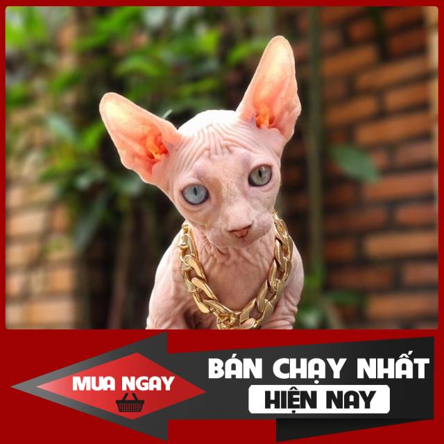 Đủ Size - Vòng cổ mạ vàng cho chó mèo siêu cool ngầu 0