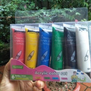 Bộ 6 màu acrylic dạng tuýp 30ml
