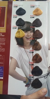 Thuốc Nhuộm Tóc Color Gams ( A1—> A32)