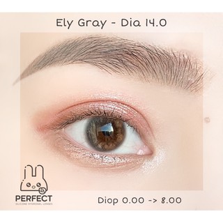 LINK 2 (GIÁ 1 CHIẾC) 14.0 (0.00->8.00) Lens Ely Gray - Kính Áp Tròng