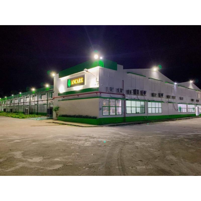 Khẩu trang y tế trẻ em ANCARE For Kids - hộp 50 cái | BigBuy360 - bigbuy360.vn