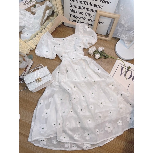 ĐẦM HOA TRẮNG TAY Bồng