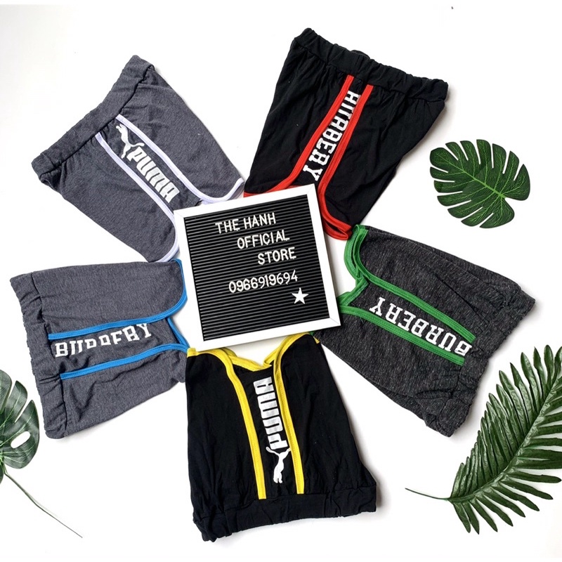 Quần đùi nữ mặc ở nhà, quần short nữ vải thun cottong co giãn TH STORE | BigBuy360 - bigbuy360.vn