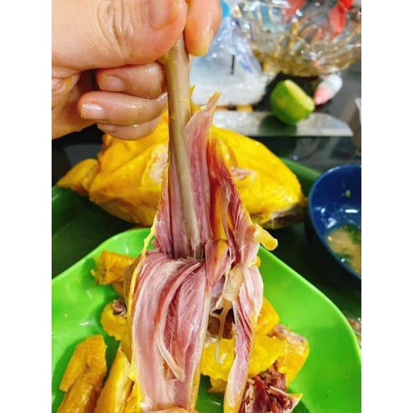 GÀ Ủ MUỐI HOA TIÊU NGUYÊN CON