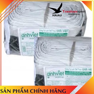 Lưới bóng chuyền da Anh Việt có cáp ( chính hãng đủ tiêu chuẩn thi đấu )