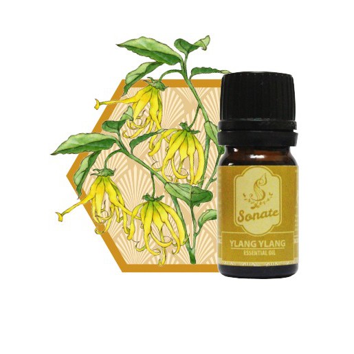 TINH DẦU XÔNG YLANG 5ML