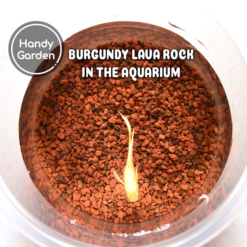 3kg - Đá Lava Rock Premium sạch bụi vụn, chuẩn kích thước 0.5-1mm 1-3mm 2-5mm 5-9mm đá nham thạch tổ ong | Handy Garden