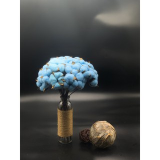 Hoa bông gòn màu sắc - Gói 2 bông