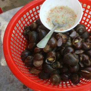 500g Cơm mẻ sạch nhà nuôi