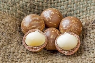 Hạt Macca
