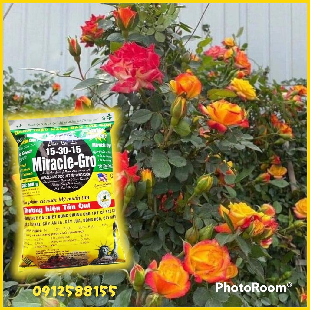 Phân Bón Lá Miracle Gro 15-30-15 (gói 10g),Phân bón lá chuyên dùng cho hoa lan, hồng,thúc đẩy ra hoa các loại cây trồng