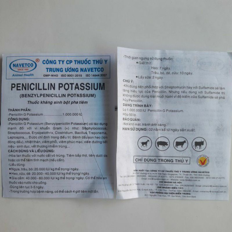 Peni, Strep 1g dạng bột pha