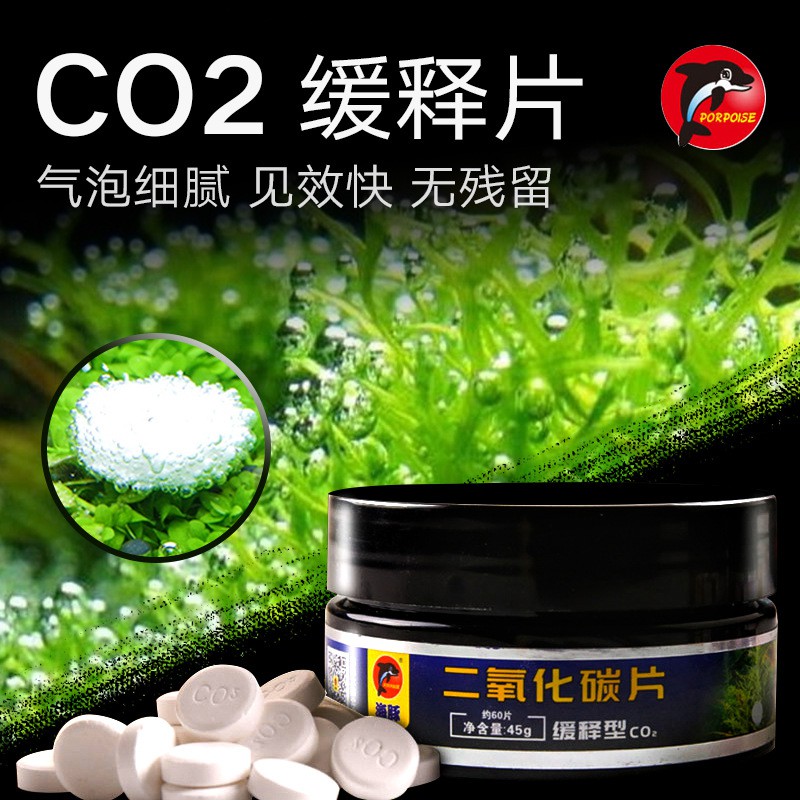 Viên CO2 nén cung cấp khí cho cây thở trong hồ thủy sinh hộp 60 viên