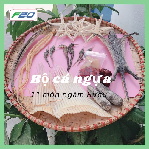 Bộ cá ngựa 11 món {cá ngựa, sụn v-i cá, sao biển, hải sâm, hải long, bào ngư, đẳng sâm, kỳ tử...)