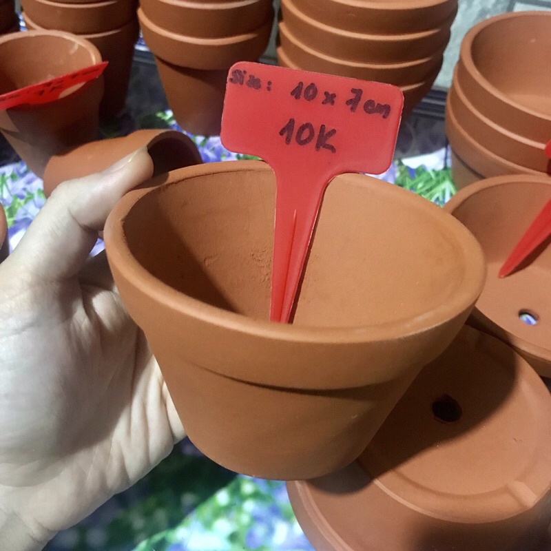 10 Chậu Đất Nung 10X7Cm - Chậu Trồng Sen Đá Mini Giá Rẻ