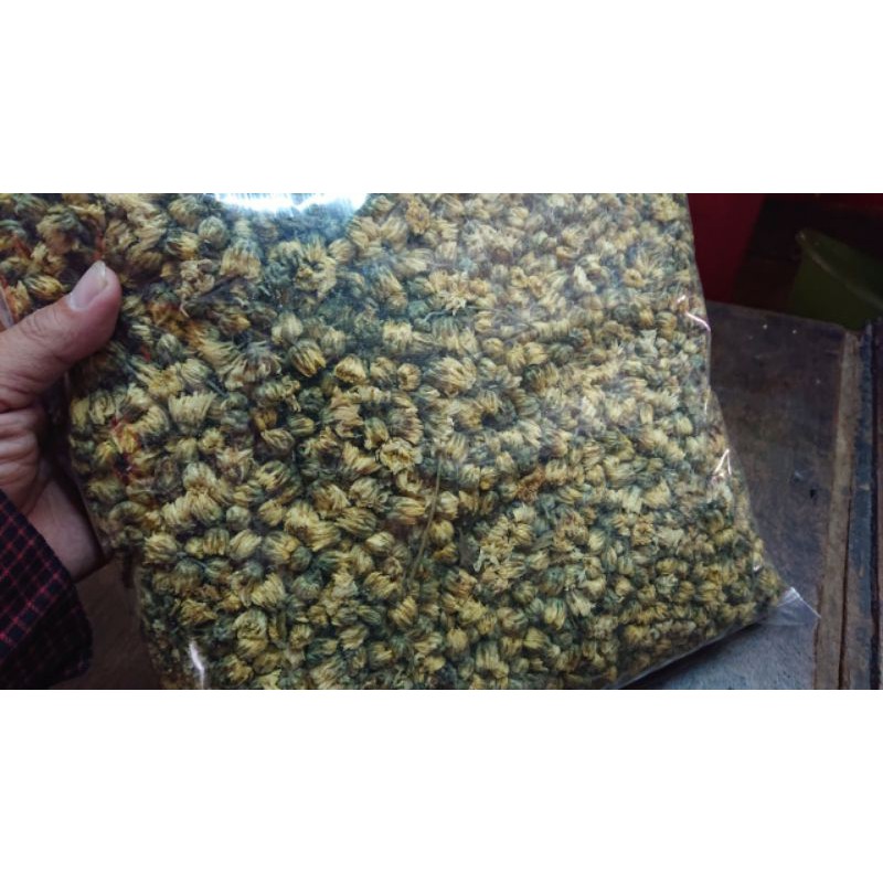 Hoa Cúc Nụ