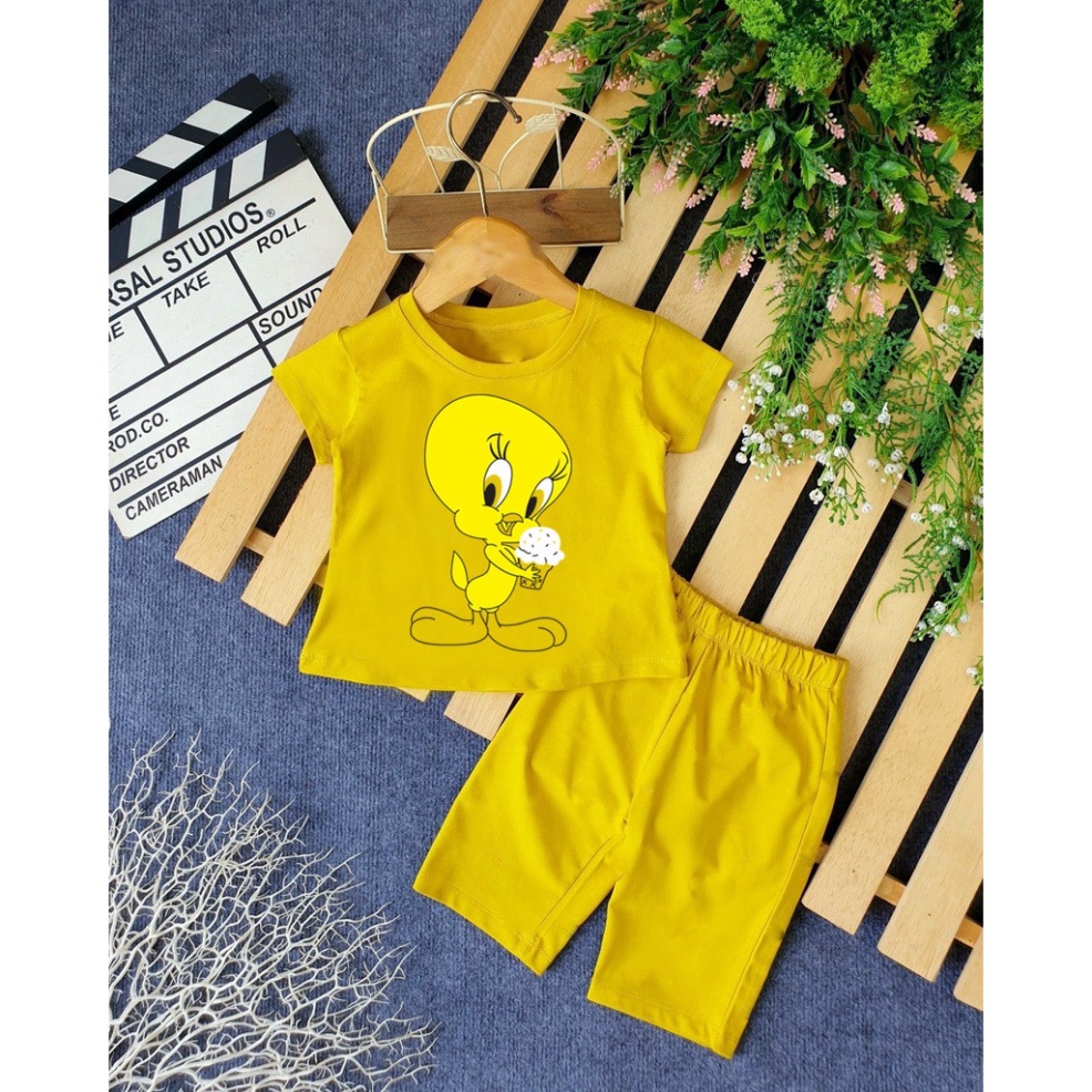 ( Khuyến mãi ) Combo 6 Bộ bé gái hình con vịt màu vàng ôm chậu hoa cho bé từ 6-28kg .BDBG53. .