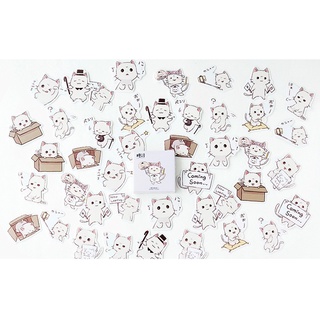 Hộp 45 stickers hình mèo
