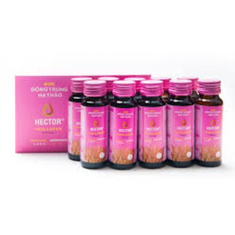 Đông trùng hạ thảo Hector hộp 10 chai x 50ml