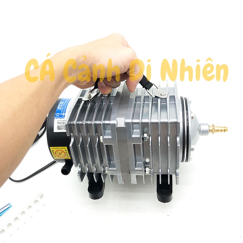 Máy sục sủi thổi khí oxy hồ cá cảnh Resun ACO-008 - Máy Oxy Bể Cá 120W