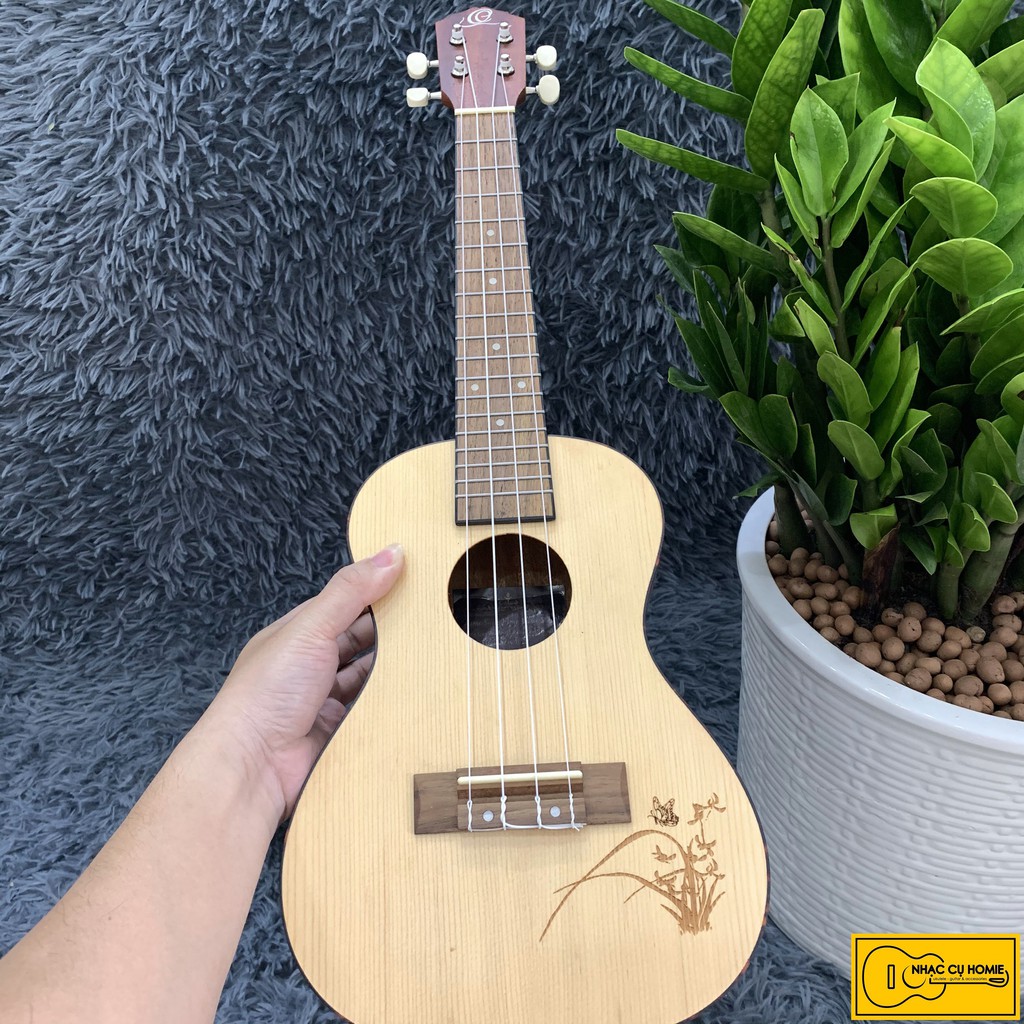 ĐÀN UKULELE CONCERT HOA TRÒN