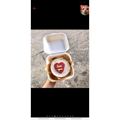 Set 10 hộp bento bã mía