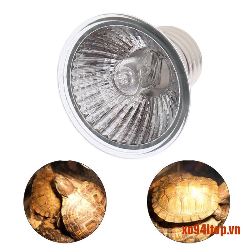 Bóng Đèn UVA + UVB 3.0 25 / 50 / 75W Chuyên Dụng Cho Bò Sát