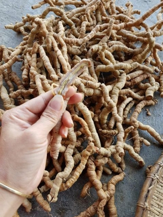 Ba kích tím (180k/kg)