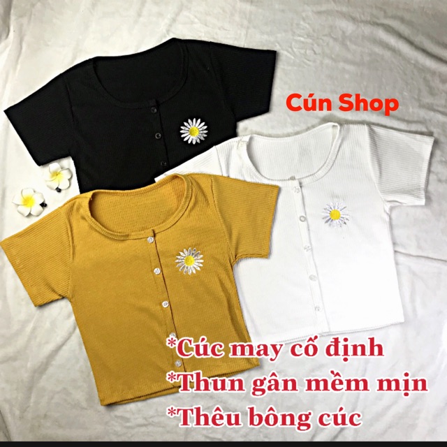 Áo croptop nhiều nút thêu hoa cúc 3 màu LIKANO CRT46
