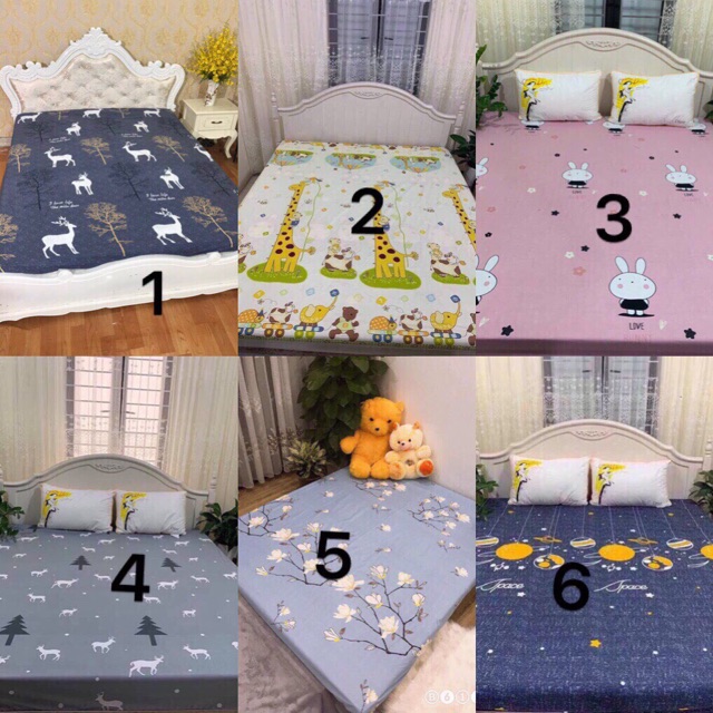FREESHIP - SIÊU GIẢM GIÁ - Ga chống thấm Cotton cao cấp loại 1 -HCM