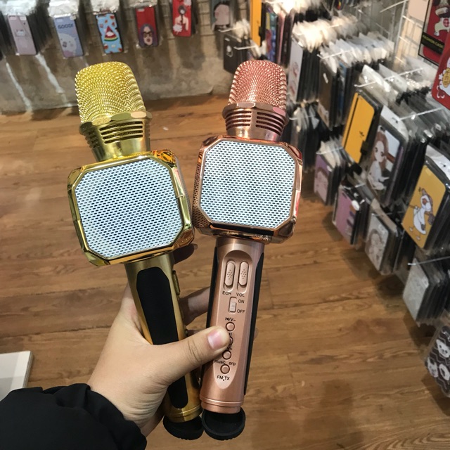 Mic hát sd10