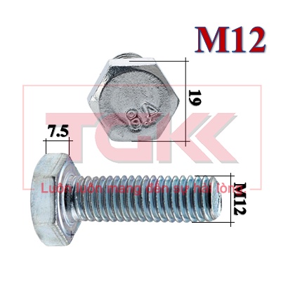 Bulong mạ kẽm M12 (20-100mm)