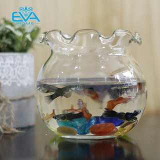 BỂ CÁ THỦY TINH HỒ CÁ CHẬU CÂU MIỆNG BÈO  D17CM x 16CM B11