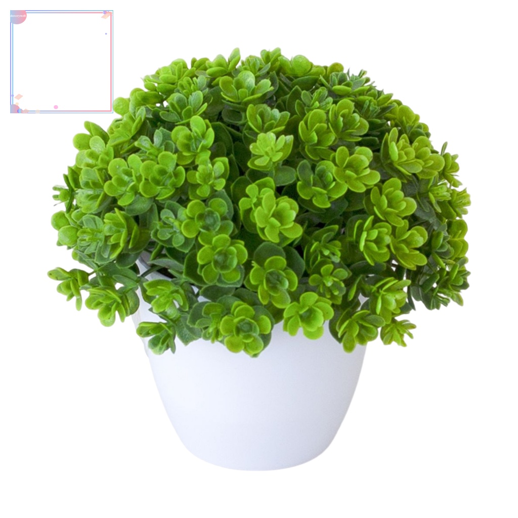 Chậu Cây Bonsai Bằng Nhựa Trang Trí Văn Phòng