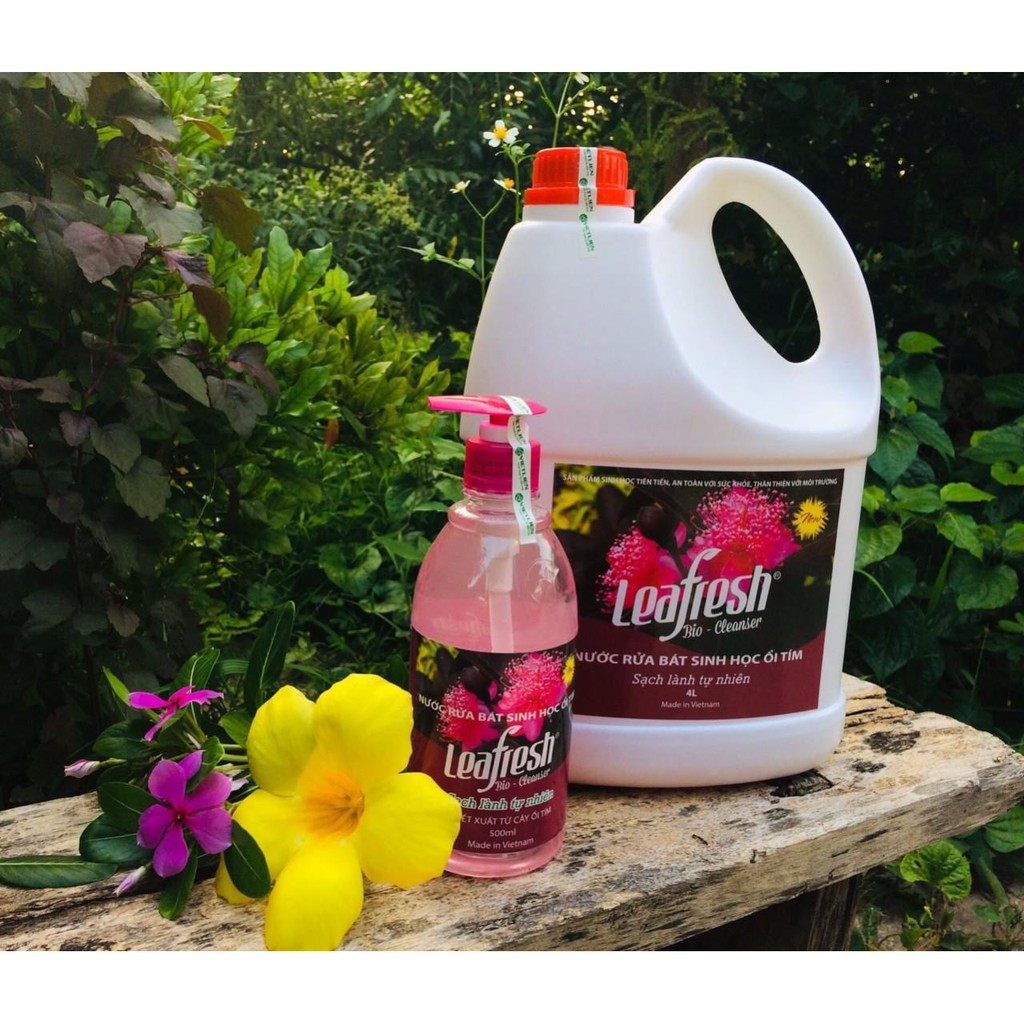 Combo 1 tặng 2. Nước Rửa Bát Ổi Tím Leafresh, Nước Rửa Bát Sinh Học Leafresh Can 4lit